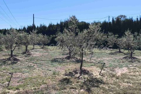 Villa i Yecla, Murcia, Yecla - € 649.000 | Ref: SF0573 - foto 45